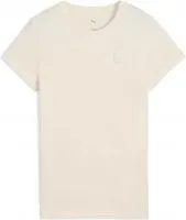 68501699