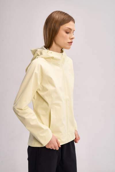 431406001770963028-1440368_2