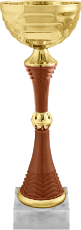 5498_370_300.png