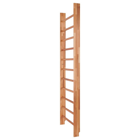 stenka_gimnasticheskaea_buk_buk