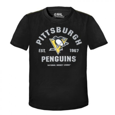 6386_30770-futbolka-pittsburgh-penguins-cher