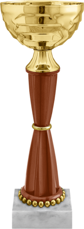 5500_340_300.png