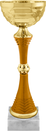 5498_370_100.png