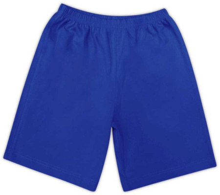 brightblue (1)
