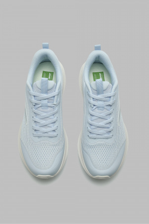 499705001772545118-1440654_5